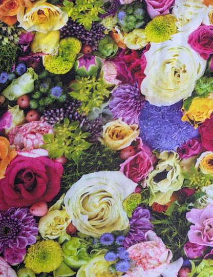 French Terry - In Stock